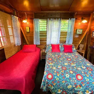 https://judy-house-cottages-and-rooms.hotelsmontegobay.org
