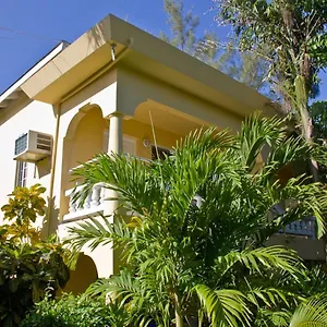 https://seastar-inn.hotelsmontegobay.org